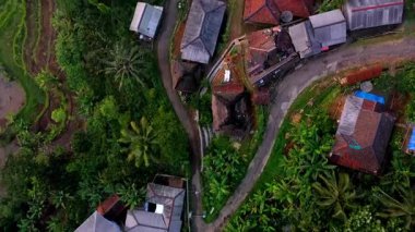Kasepuhan Pasir Eurih, Lebak, Banten, Endonezya 'daki geleneksel ev ve pirinç tarlalarının tepeden aşağı havadan görünüşü, yerli kırsal yaşam ve ahenkli manzara modelleri sergileniyor.