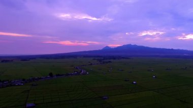 Geniş pirinç tarlalarının ve Lembor, Batı Manggarai, Doğu Nusa Tenggara 'daki uzak tepelerin havadan görünüşü, alacakaranlıktan önce altın gün batımında çekildi..