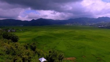 Cancar Köyü, Ruteng, Manggarai, Doğu Nusa Tenggara, Endonezya 'daki Lodok veya örümcek ağı pirinç tarlalarının havadan görüntüsü. Geometrik desenlerde geleneksel arazi bölme sisteminin gösterimi.