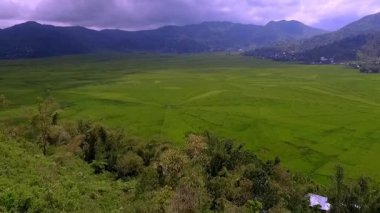 Cancar Köyü, Ruteng, Manggarai, Doğu Nusa Tenggara, Endonezya 'daki Lodok veya örümcek ağı pirinç tarlalarının havadan görüntüsü. Geometrik desenlerde geleneksel arazi bölme sisteminin gösterimi.