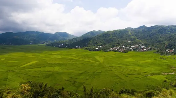 Lodok, Endonezya 'nın Doğu Nusa Tenggara kentindeki Cancar Village' da bulunan geleneksel bir arazi bölümüdür. Yukarıdan bakıldığında, pirinç tarlaları yerel kültüre özgü çarpıcı bir örümcek ağı deseni oluşturuyor..