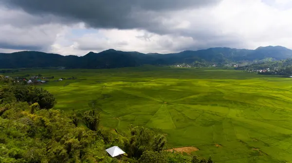 Lodok, Endonezya 'nın Doğu Nusa Tenggara kentindeki Cancar Village' da bulunan geleneksel bir arazi bölümüdür. Yukarıdan bakıldığında, pirinç tarlaları yerel kültüre özgü çarpıcı bir örümcek ağı deseni oluşturuyor..
