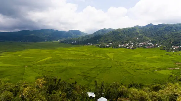 Lodok, Endonezya 'nın Doğu Nusa Tenggara kentindeki Cancar Village' da bulunan geleneksel bir arazi bölümüdür. Yukarıdan bakıldığında, pirinç tarlaları yerel kültüre özgü çarpıcı bir örümcek ağı deseni oluşturuyor..