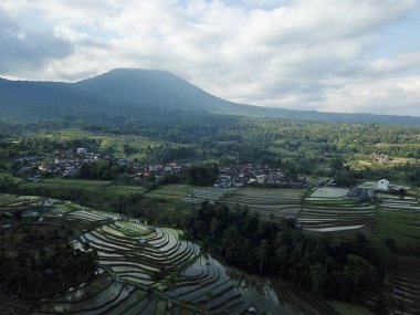 Jatiluwih, Tabanan, Bali, subak sulama sistemi Jatiluwihs 'in pirinç tarlalarını, Balis geleneksel tarlalarını ve UNESCO mirasını korumasını sağlıyor..