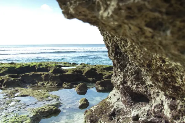 Rocky shore with tide pools and mossy stones, viewed from beneath a cliff by the ocean. A serene tropical seascape with gentle waves in the background.