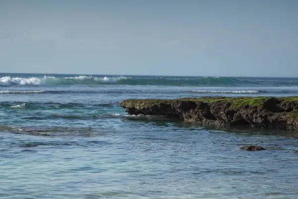 Berrak suları ve yumuşak dalgaları olan tropik bir sahil kenarındaki yosunlu mercan kayalıkları sakin ve doğal bir sahil manzarası yakalıyor..