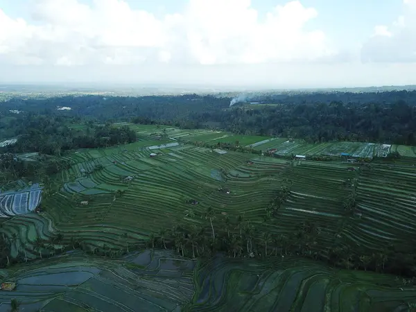 Jatiluwih, Tabanan, Bali, subak sulama sistemi Jatiluwihs 'in pirinç tarlalarını, Balis geleneksel tarlalarını ve UNESCO mirasını korumasını sağlıyor..
