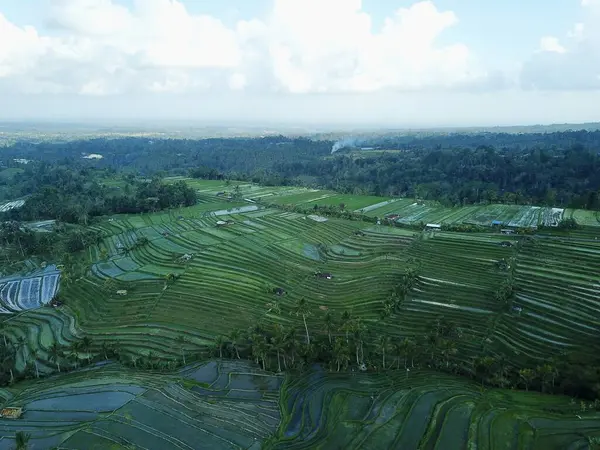 Jatiluwih, Tabanan, Bali, subak sulama sistemi Jatiluwihs 'in pirinç tarlalarını, Balis geleneksel tarlalarını ve UNESCO mirasını korumasını sağlıyor..