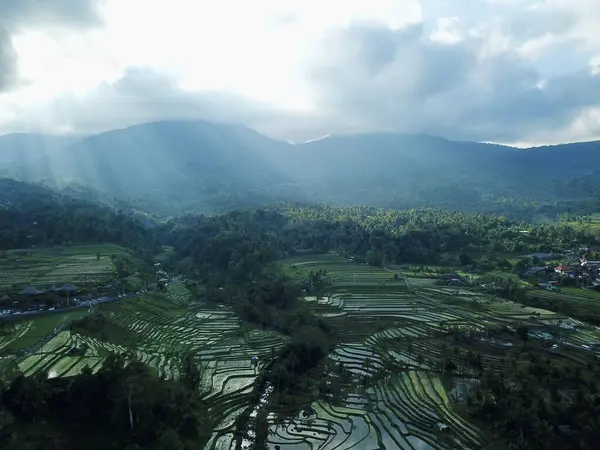 Jatiluwih, Tabanan, Bali, subak sulama sistemi Jatiluwihs 'in pirinç tarlalarını, Balis geleneksel tarlalarını ve UNESCO mirasını korumasını sağlıyor..