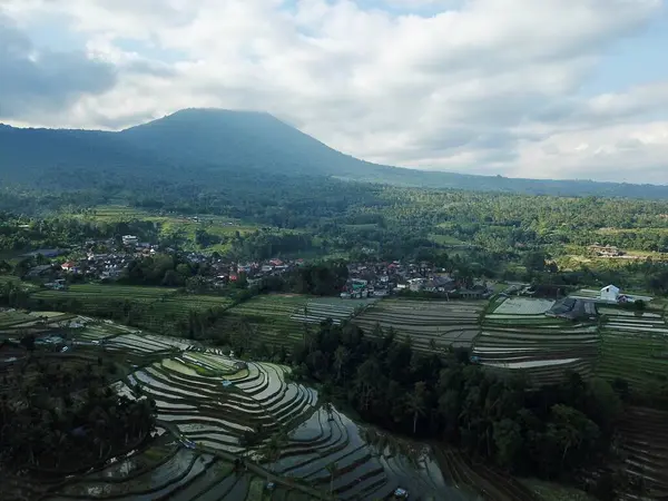 Jatiluwih, Tabanan, Bali, subak sulama sistemi Jatiluwihs 'in pirinç tarlalarını, Balis geleneksel tarlalarını ve UNESCO mirasını korumasını sağlıyor..
