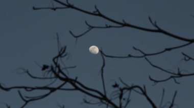 Gece gökyüzünün arka planında Ay ve yıldızlar.