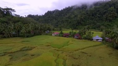 Jambi, Endonezya 'nın uzak bir köyü olan Air Liki' nin Ngaol 'dan 4 saatlik verimli tropikal doğayla çevrili nehir ulaşımıyla ulaşılabilen havadan görüntüsü..