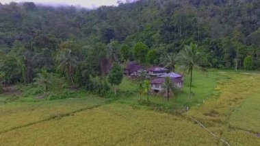 Jambi, Endonezya 'nın uzak bir köyü olan Air Liki' nin Ngaol 'dan 4 saatlik verimli tropikal doğayla çevrili nehir ulaşımıyla ulaşılabilen havadan görüntüsü..