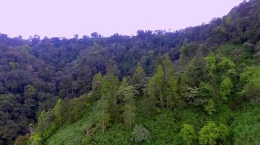 Kerinci, Jambi, Endonezya 'daki Bukit Hayangan' ın hava görüntüsü, ziyaretçilerin Kerinci Gölü ve çevresindeki manzaraların panoramik manzarasından keyif aldıkları manzaralı bir dağlık bölge..