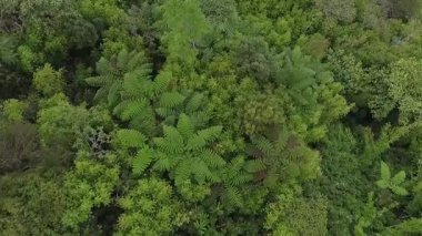 Kerinci, Jambi, Endonezya 'daki Bukit Hayangan' ın hava görüntüsü, ziyaretçilerin Kerinci Gölü ve çevresindeki manzaraların panoramik manzarasından keyif aldıkları manzaralı bir dağlık bölge..