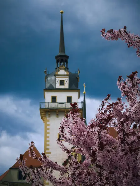 Hartenfels Kalesi Torgau, Almanya Bahar Çiçekleri ile 7 Nisan 2025
