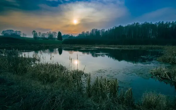Baharın ilk günbatımında sakin bir göl. Kuru sazlıklar ve orman yansımalarıyla.