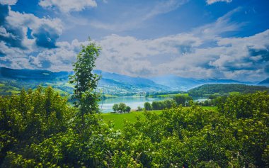 Yeşil tepeler ve uzak Alpler ile çevrili bir İsviçre gölü manzarası