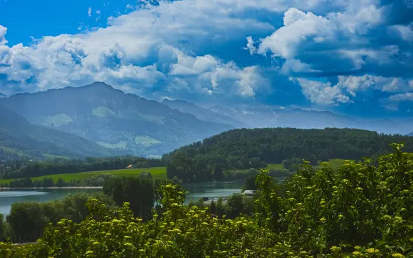 Göl, orman tepeleri ve dramatik Alp arkaplanlı İsviçre manzarası