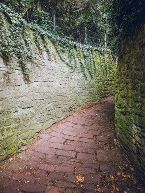 Schlangenweg, Heidelberg, Almanya 'da yosunlu duvarları olan eğimli kaldırım taşı yolu