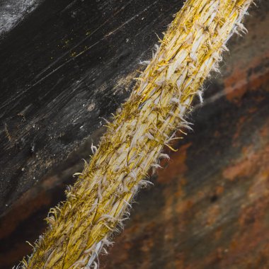 Siyah ve paslı arka planda aşınmış sarı ip dokusuna yakın çekim,