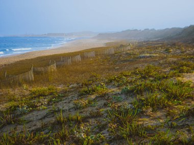 Portekiz 'in Aterro plajında kıyı kum örtüsü ve ahşap çitler.,