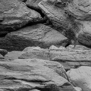 siyah ve beyaz kaya dokusu yakın plan