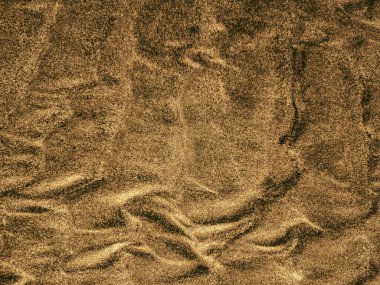 Soyut Organik Desenlerle Altın Kum DokusuName