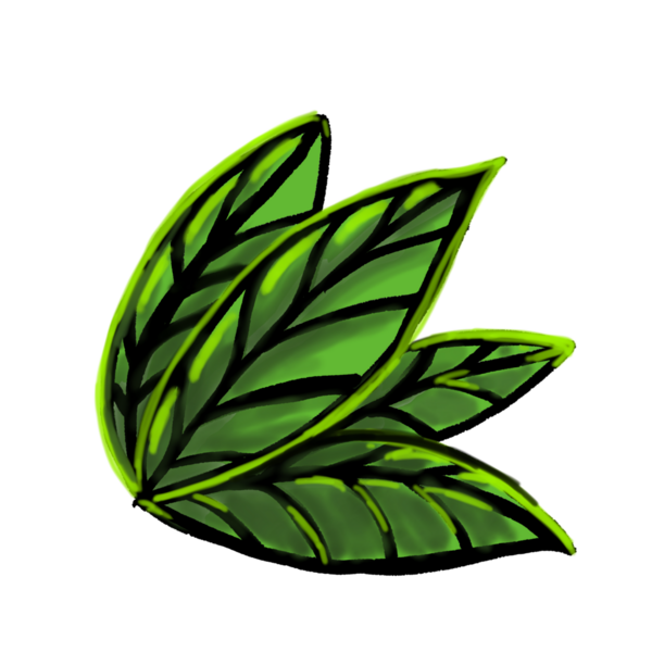 Beyaz arkaplanda yeşil yapraklar