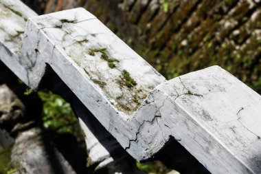Yosun kaplı eskimiş beton yapı, yemyeşil arka planda yan yana dizilmiş. Yaşlanmış betonun dokuları ve canlı doğal elementler çarpıcı bir kontrast oluşturuyor..