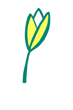 Sarı lale çiçeğinin çizgi film görüntüsü. şablon, dekorasyon, bahçe ve çevre için çiçek çizimi