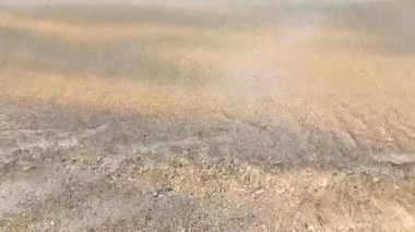 Yumuşak dalgalı kumlu sahil