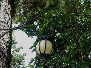 Arka planda ağaçlar olan eski bir lambanın güzel manzarası.