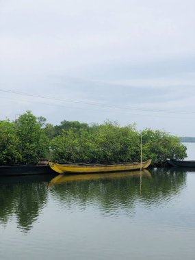 Nehirde bir balıkçı teknesi