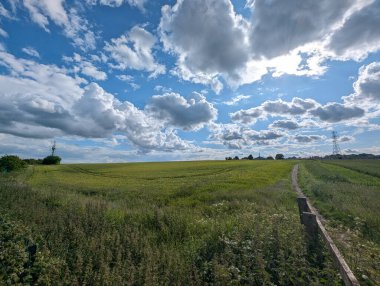 Canlı bir gökyüzü altında sakin bir kır manzarası. Yürüme yolu yemyeşil bir alana götürür, dinginlik ve özgürlük hissi uyandırır..