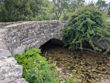 Eski bir taş köprü berrak bir dere boyunca uzanır, yemyeşil bitki örtüsüyle, parlak bir günde, bir ağaç zeminine kurulur..