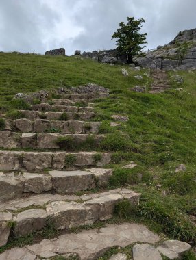 Taş bir merdiven, bulutlu bir gökyüzüne doğru çimenli bir tepeye yükselir ve keşif yapmaya davet edilir. Tek başına bir ağaç kayalık bir duvarın tepesinde duruyor..