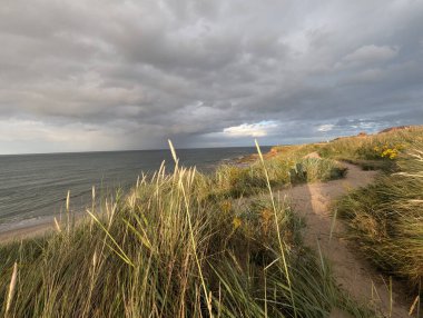 Denizin üzerinde dramatik bulutlar asılı, kumullar arasında bir kıyı yolunu aydınlatıyor. Fotoğraf, ışık ve gölgenin etkileşimini yakalar..