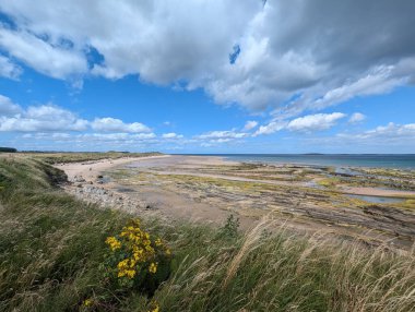 Resimli plaj sahnesi güzel kumlu bir sahil ve mavi gökyüzü ve tüylü beyaz bulutları olan engin bir deniz sunar. Kıyı, denizin önündeki bazı kayalık parçalardan oluşur..