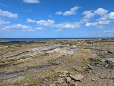 Okyanusun mavi gökyüzünün altında kabarık bulutlarla buluştuğu kayalık bir kıyı şeridinin güzel manzarası..