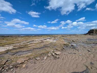 Güzel bir sahil manzarası, mavi gökyüzü ve kabarık bulutlarla geniş bir kıyı manzarası gösterir. Katmanlı kayalar ve kum hoş bir doku yaratır..