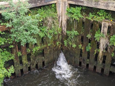 Su, yemyeşil ve yosunlarla çevrili eski ahşap bir yapıda çağlayarak sakin ve doğal bir manzara yaratır..