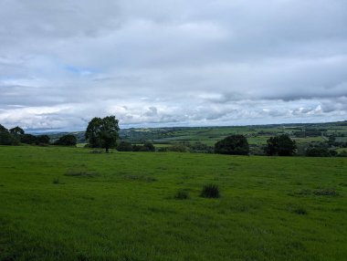 Geniş yeşil bir alan bulutlu ve bulutlu bir gökyüzünün altında ufka doğru uzanıyor..