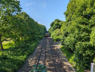 Güneşli bir günde, doğayı ve ulaşımı gözler önüne seren, ağaçlarla kaplı bir tren yolu boyunca seyahat eder..