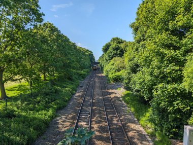 Manzaralı bir tren yolu, güneşli bir günde yemyeşil ağaçların arasından geçiyor. Tren çok uzakta..