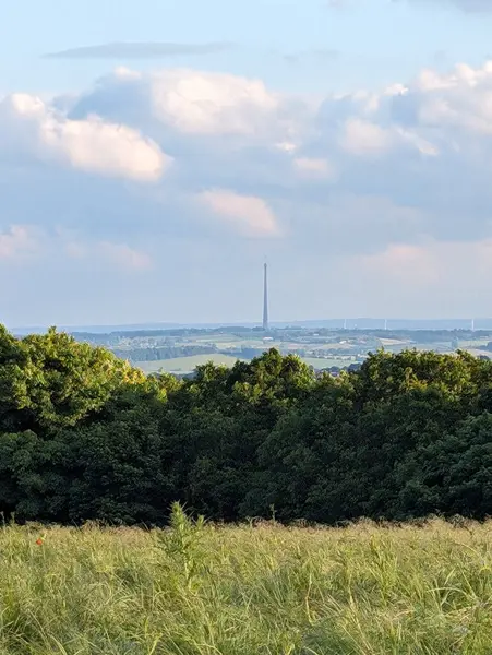 Parlak bir gökyüzü altında, gür ağaçlar ve çimenli tarlalar tarafından çerçevelenmiş, geniş bir arazi üzerinde uzun bir yapı yükselir..