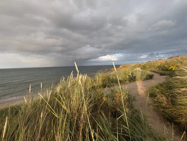 Denizin üzerinde dramatik bulutlar asılı, kumullar arasında bir kıyı yolunu aydınlatıyor. Fotoğraf, ışık ve gölgenin etkileşimini yakalar..