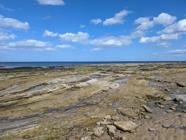 Okyanusun mavi gökyüzünün altında kabarık bulutlarla buluştuğu kayalık bir kıyı şeridinin güzel manzarası..