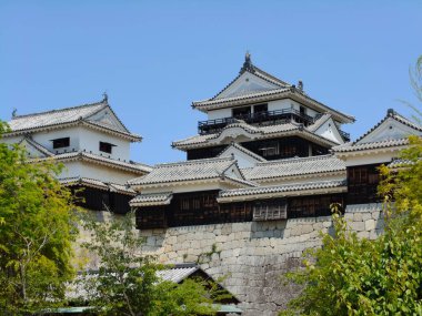 31 Mayıs 2025, Matsuyama, Japonya - Matsuyama Şatosu Görüntü