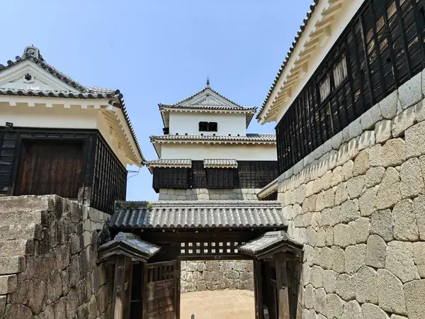 31 Mayıs 2025, Matsuyama, Japonya - Matsuyama Şatosu Görüntü